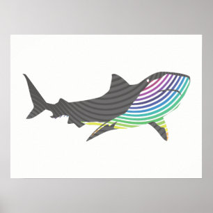 Pôster Roteiro do Shark Colorido