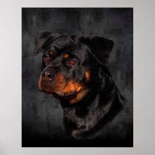 Pôster Rottweiler