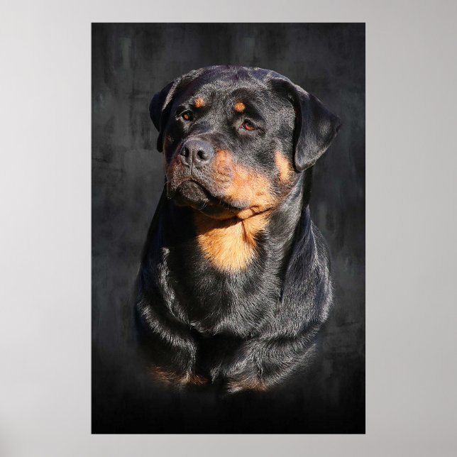 Pôster Rottweiler (Frente)