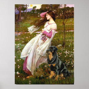 Pôster Rottweiler (#5) - Windflowers