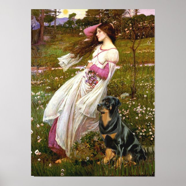 Pôster Rottweiler (#5) - Windflowers (Frente)