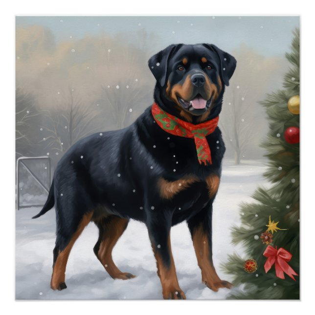 Pôster Rottweiler Cachorro na Neve (Frente)