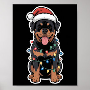 Poster Rottweiler Embalado Em Luzes De Natal
