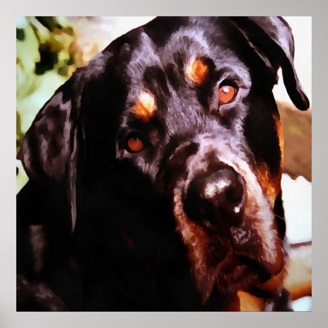 Poster Rottweiler Portait Artístico Pet (Frente)