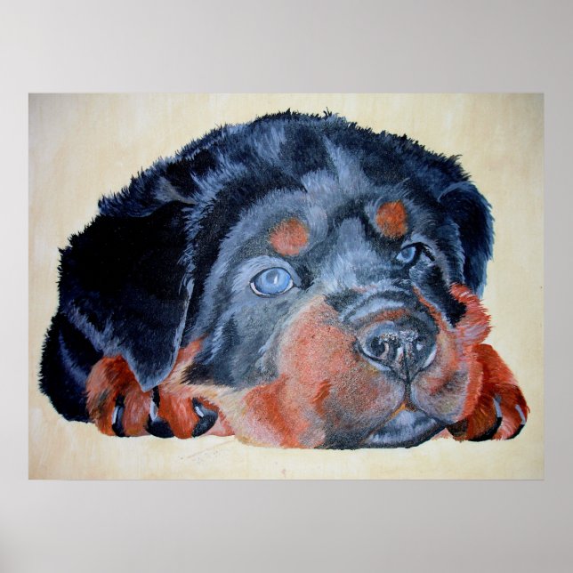 Pôster Rottweiler Puppy Retrato Artístico Pet (Frente)