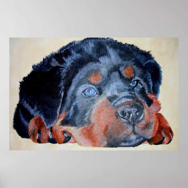 Poster Rottweiler Puppy Retrato Artístico Pet (Frente)