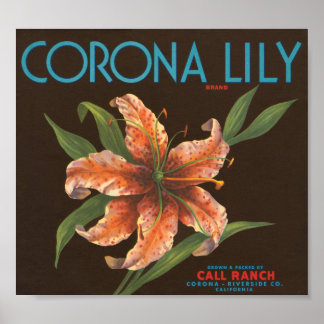 Pôster Rótulo da Crato de Marca de Corona Lily