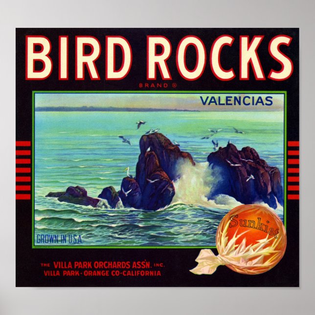 Poster Rótulo de Caixa de Frutas Laranja Marca Bird Rocks (Frente)