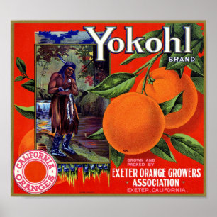 Poster Rótulo de Caixa de Laranja da Marca Yokohl Schmidt