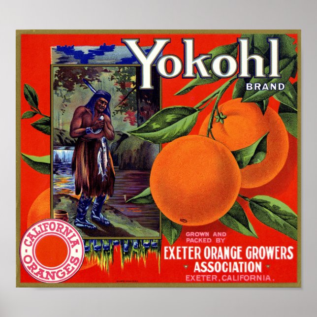 Poster Rótulo de Caixa de Laranja da Marca Yokohl Schmidt (Frente)