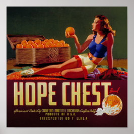 Poster Rótulo de Fruta das Laranjas da Marca do tórax do