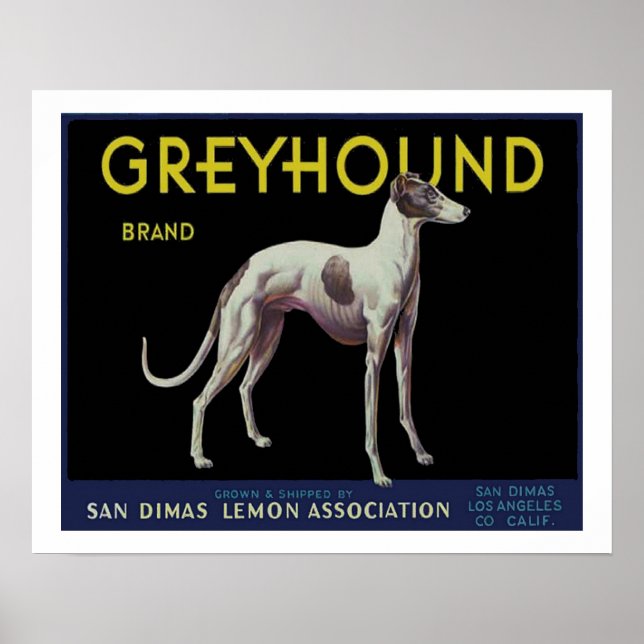 Poster Rótulo de limão Vintage Greyhound Circa 1920 (Frente)
