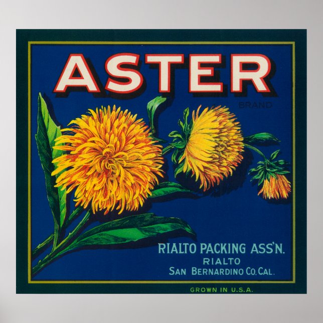Pôster Rótulo de Taxa de Citros de Marca Aster (Frente)