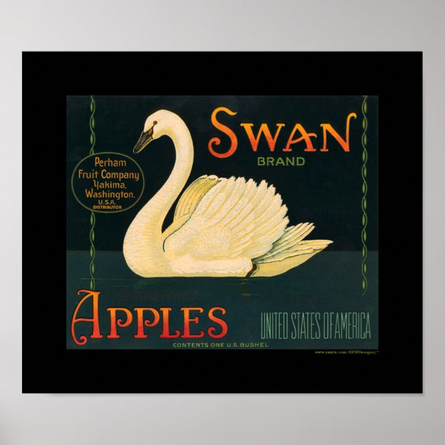 Poster Rótulo de Taxa de Fruta da Maçã do Swan KRW (Frente)
