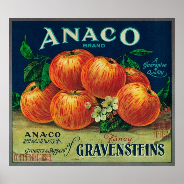 Poster Rótulo de Taxa de Maçã do Anaco (Frente)