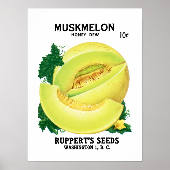 Poster Rótulo do Pacote de Semente Muskmelon (Frente)