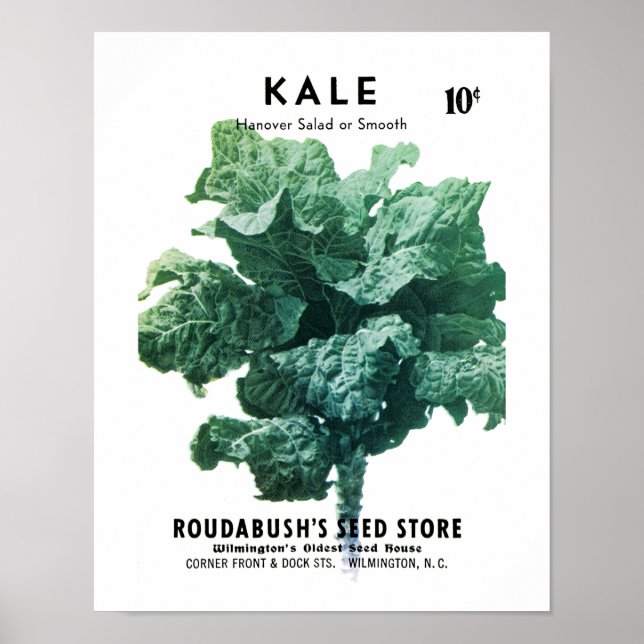 Poster Rótulo do Pacote de Sementes de Kale (Frente)