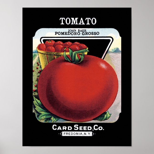 Poster Rótulo do Pacote de Sementes de Tomato (Frente)