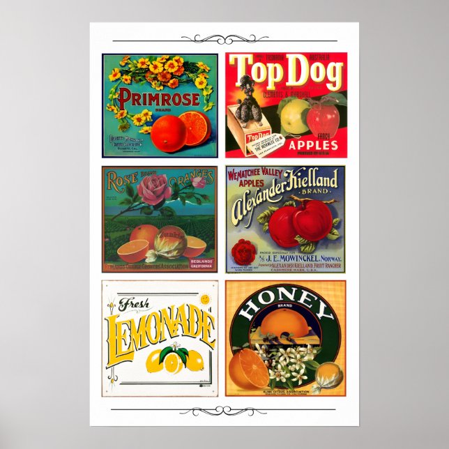Poster Rótulos de anúncios de frutas vintage (Frente)