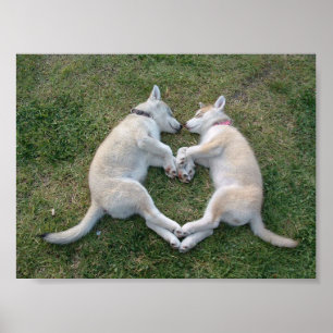 Pôster rouco do coração