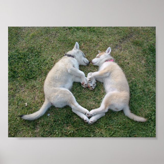 Pôster rouco do coração (Frente)