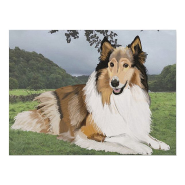Pôster Rough Collie contra os Yorkshire Dales (Frente)