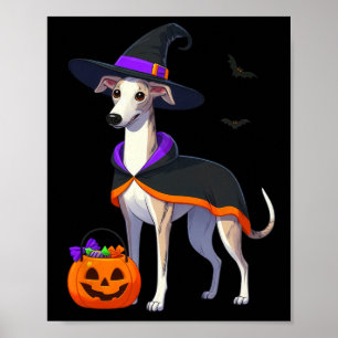 Poster Roupa De Bruxa De Branca De Halloween Para Cachorr