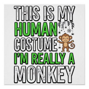 Pôster Roupa de Humano de Macaco Engraçado Design de Cami