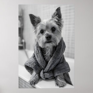 Poster Roupão engraçado do Yorkshire Terrier, Impressão,