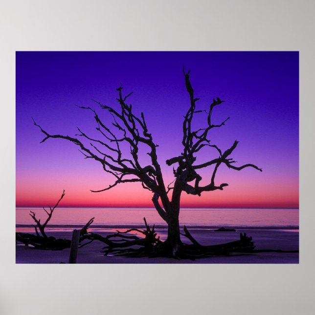 Poster Roxo (Frente)