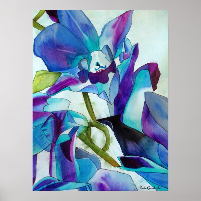 Pôster Roxo Cingapura Orquídea, pintura aquosa (Frente)