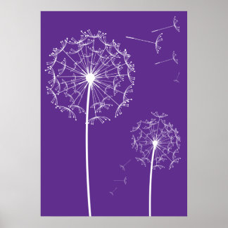 Poster roxo dandelion