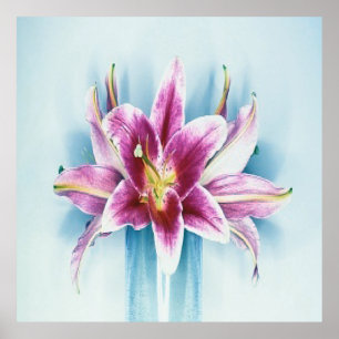 Poster roxo de Lilly do tigre