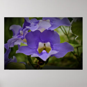 Poster Roxo e Verde,