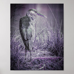 Poster Roxo Heron