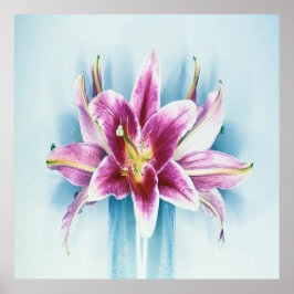 Poster Roxo Tiger Lilly