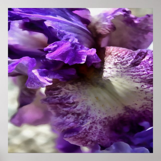 Pôster Roxo, Violeta e Mauve Iris Abstrato (Frente)