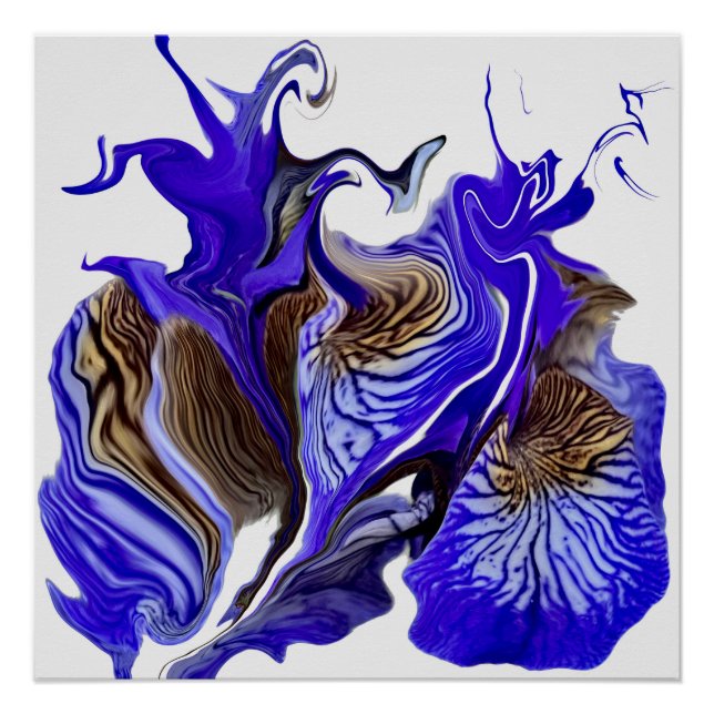 Pôster Roxos De Flor Roxo Iris (Frente)