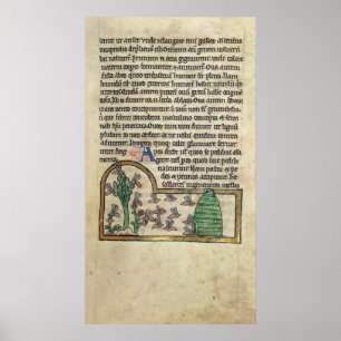 Pôster Roy Page do texto com ilustração de