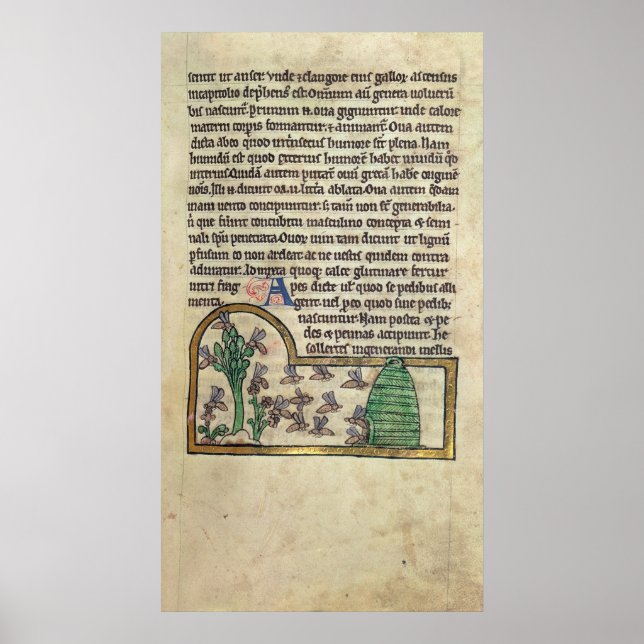 Pôster Roy Page do texto com ilustração de (Frente)