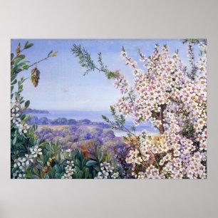 Poster Royal Botanic por Marianne North