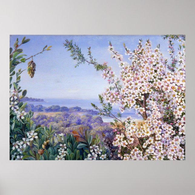 Poster Royal Botanic por Marianne North (Frente)