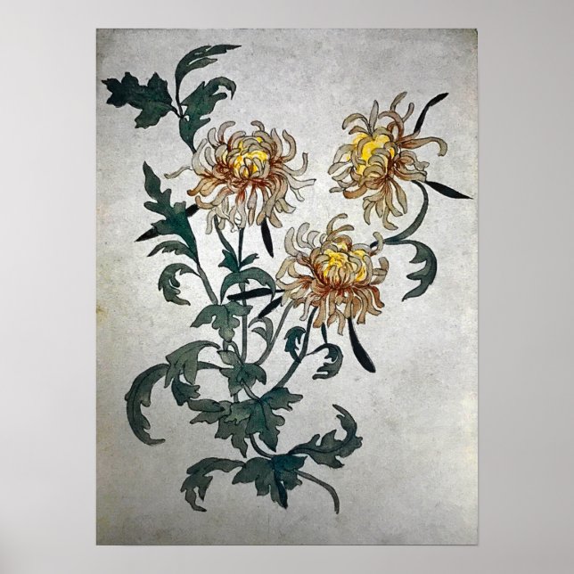 Poster Rozanova - Flores 1900 (Frente)