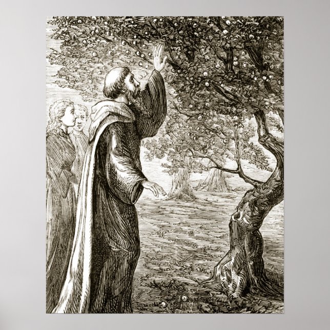 Poster Rua. Columba muda fruta amarga para doce, de (Frente)