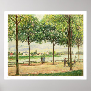 Pôster Rua de Alfred Sisley de árvores de castanha