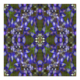 Pôster Rua de Lupine....