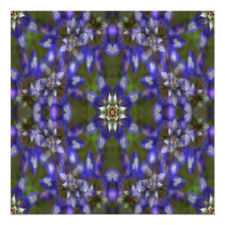 Pôster Rua de Lupine....