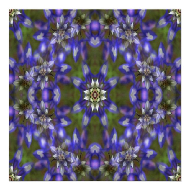 Pôster Rua de Lupine.... (Frente)