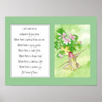 Rua. Francis de Assisi, Oradora Flor Hummingbird