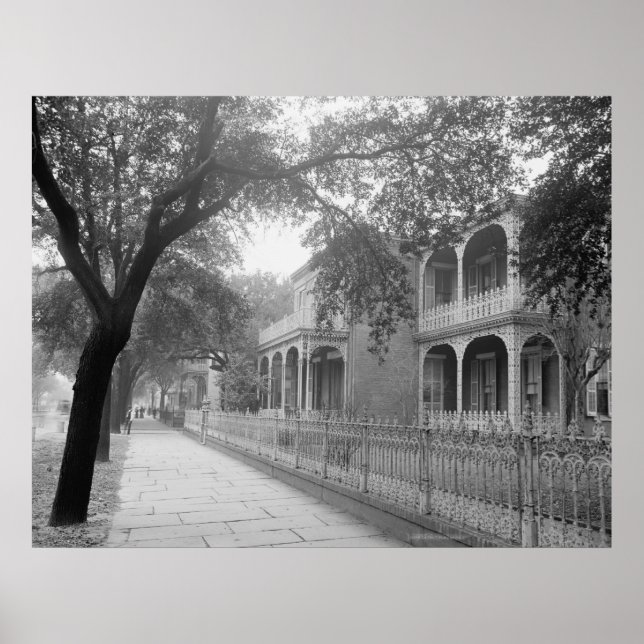 Pôster Rua governo (Frente)